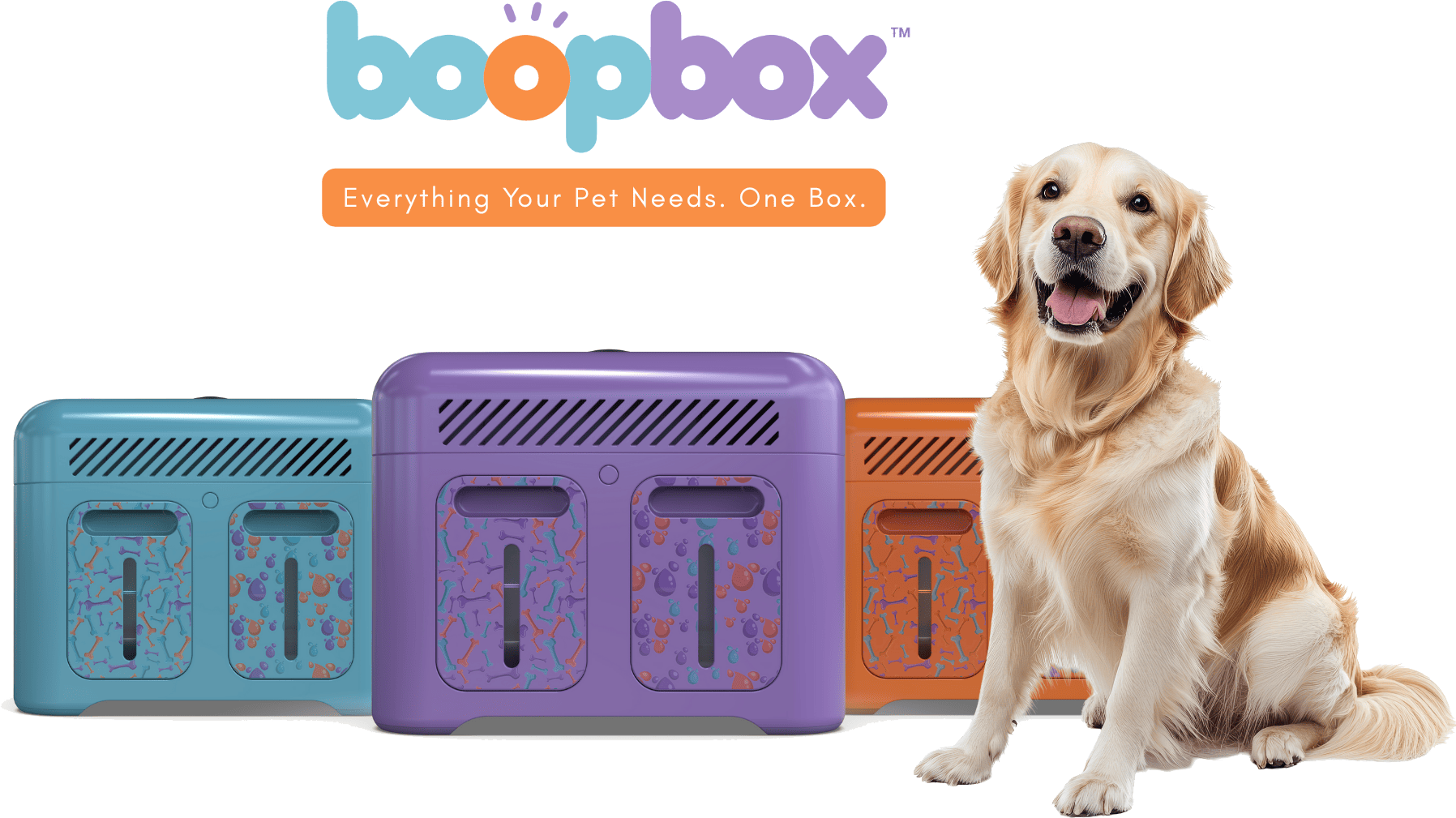 BoopBox™ products with a golden retriever